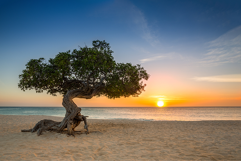 Eagle Beach Sunset