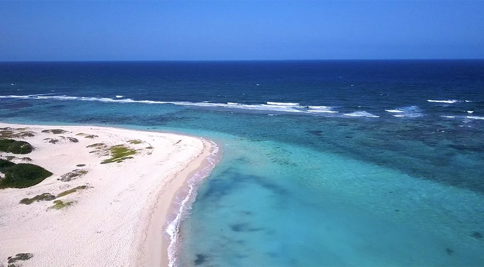 Boca Grandi Beach Aruba