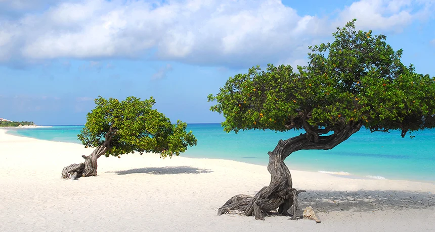 Eagle Beach Aruba