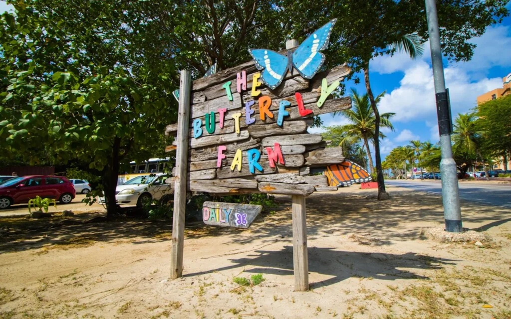 The Butterfly Farm