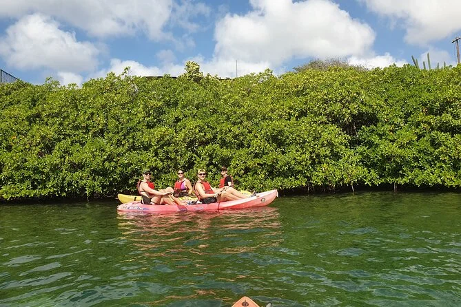 Kayaking at Mangel Halto Aruba