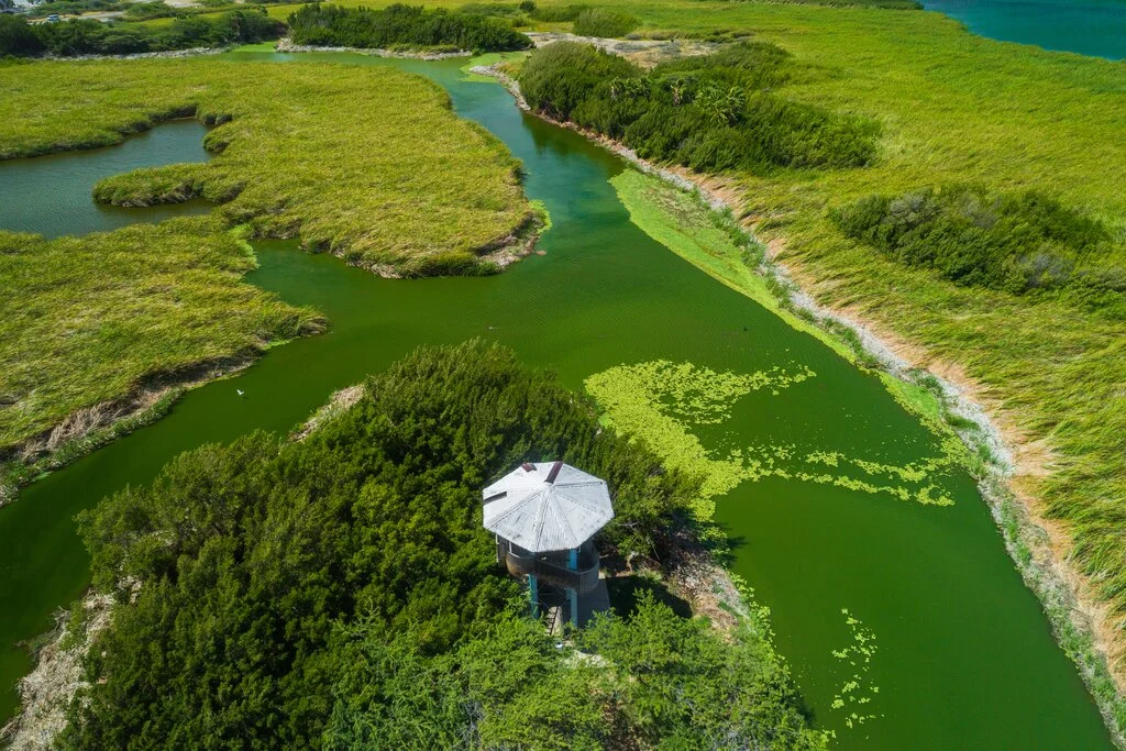 Bubali Bird Sanctuary