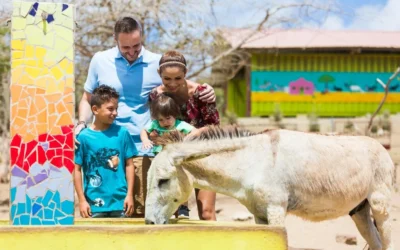 Getting Up Close with Aruba’s Wildlife: 6 Experiences for Nature Lovers