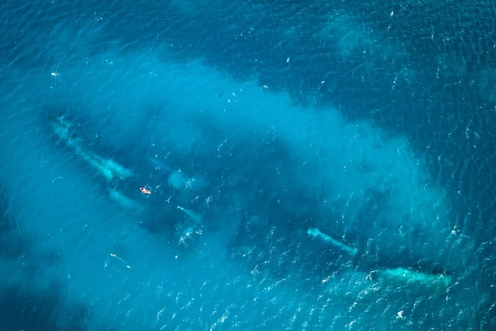 Aerial View of SS Antilla Wreck