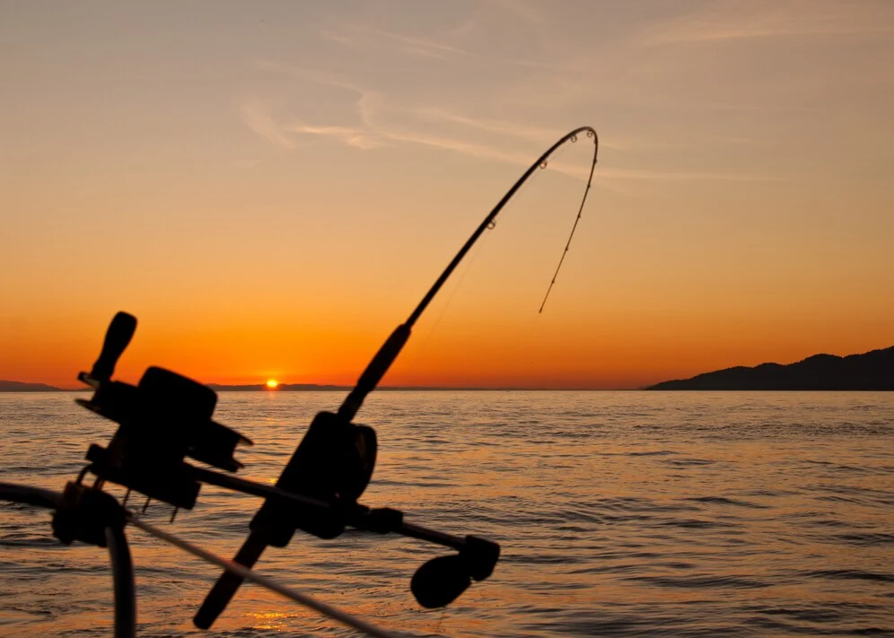 sunset landscape with fishing-rod