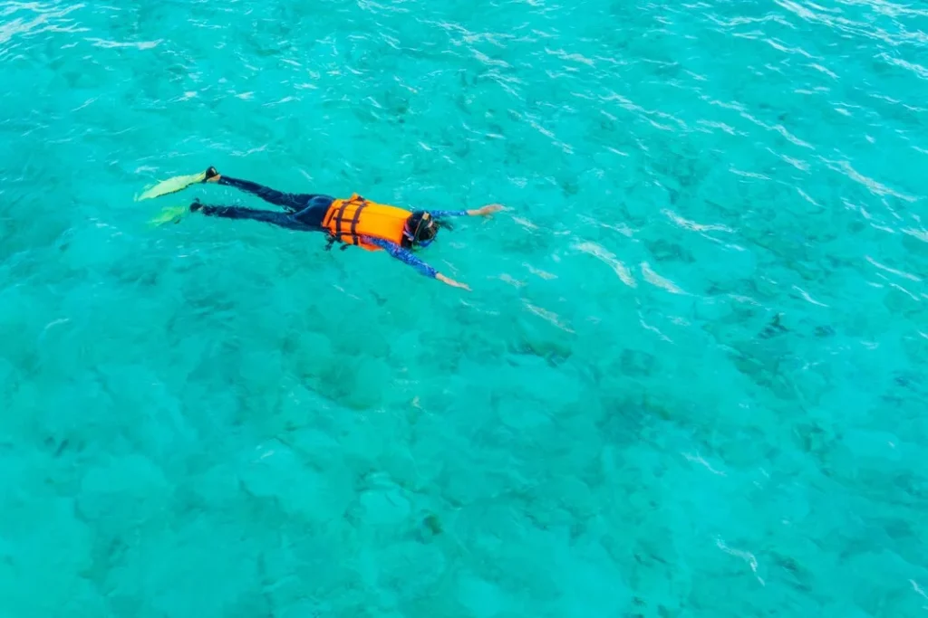 Man Snorkeling in the Ocean