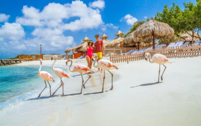 6 Free or Affordable Things to Do in Aruba for Visitors Who Want to Enjoy Paradise Without Overspending